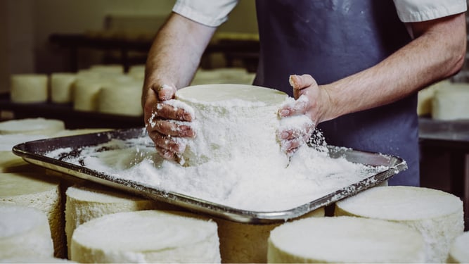 Shepherds Purse Cheese Salting